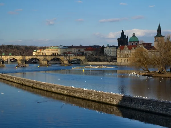 Прага и ее старые дома, река Влтава и мосты — стоковое фото