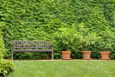 Prague castle bahçeleri