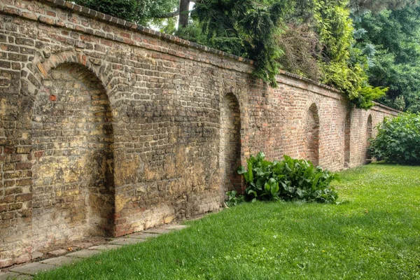 Yeşil bahçe — Stok fotoğraf