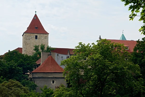 Praag kasteel tuinen Stockafbeelding