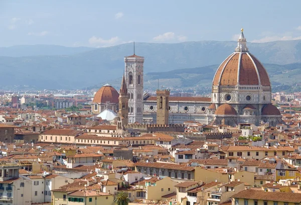 Florence city view — Stock Photo, Image