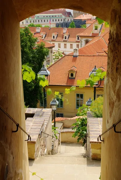 Green garden — Stock Photo, Image