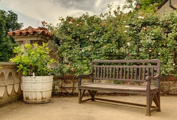 Giardino verde — Foto Stock