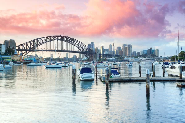 Lavender Bay — Stockfoto