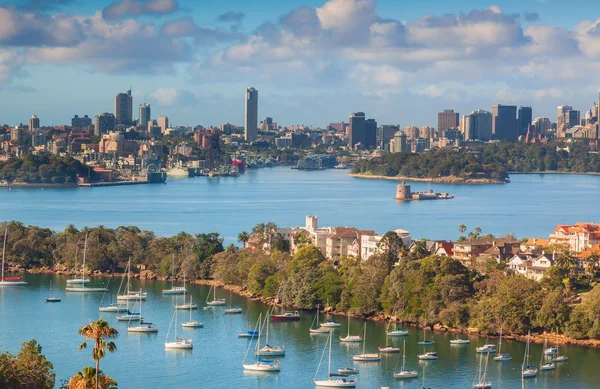 Sydney panorama — Zdjęcie stockowe