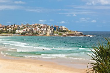 Bondi
