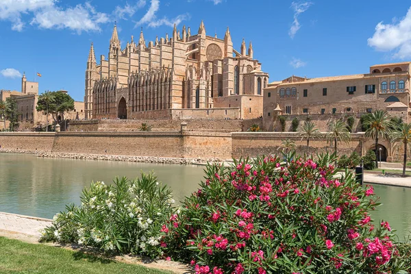 Catedral Palma Isla Balear Mallorca — Foto de Stock