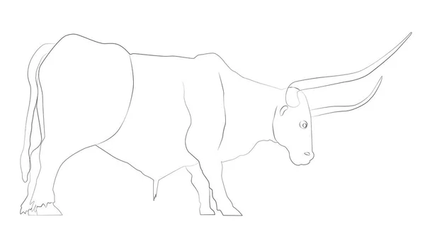 Outline Bull Large Horns Isolated White Vector Illustration — Stock Vector