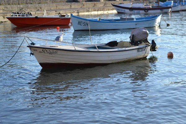 kayıklar