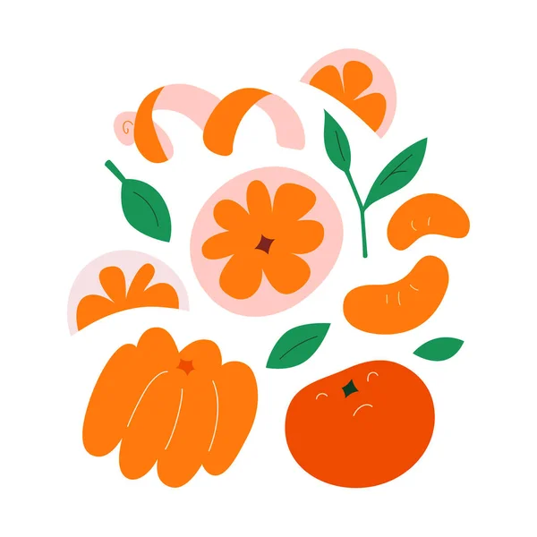 Mandarinky nebo mandarinky, oloupané klementinky plátky ovoce s listy, ručně kreslené kreslené kresby na bílém, vektorové klipy — Stockový vektor
