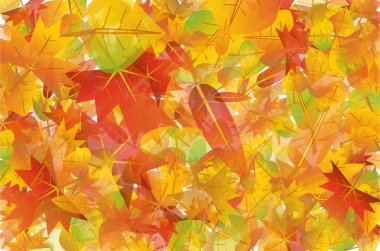 sonbahar yaprakları arka plan
