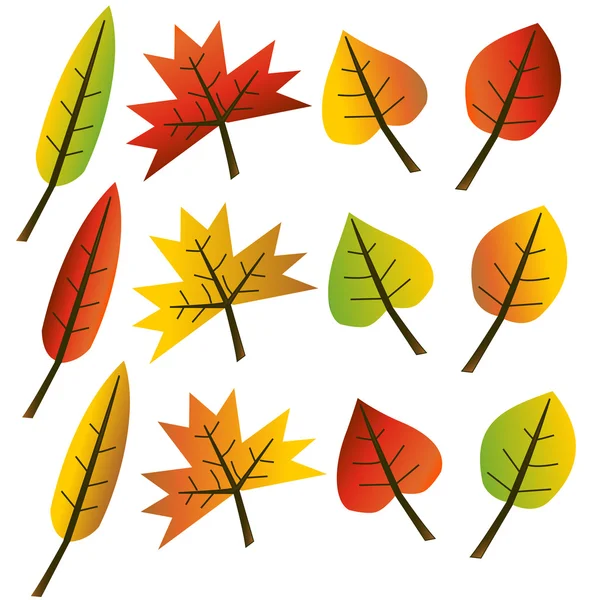 Autumn leaves collection illustration — Stock Vector