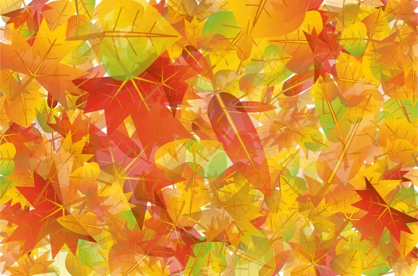 Hojas de otoño fondo — Vector de stock