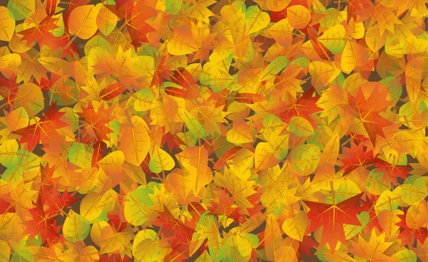 秋の紅葉 — ストックベクタ
