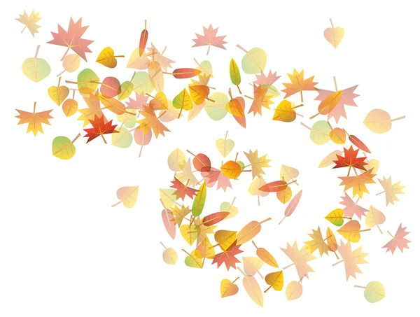 Autumn leaves illustration — Stock Vector