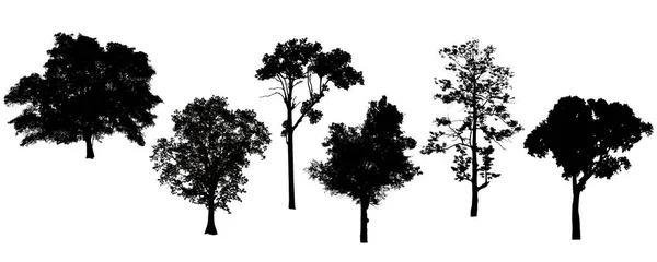 Sammlung Von Bäumen Silhouetten Isolieren Auf Weißem Hintergrund Clipping Pfad — Stockfoto