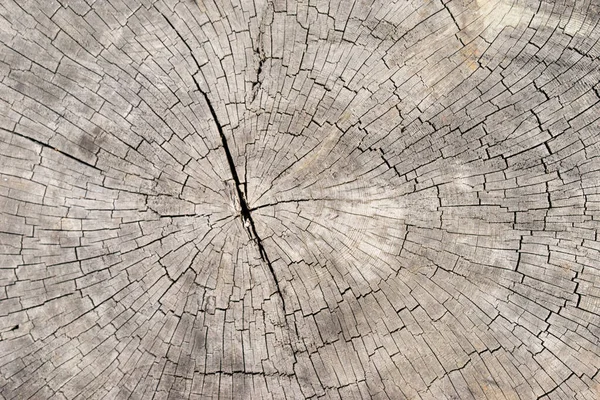 Stare Jasne Drewno Tekstury Tła Powierzchni Naturalnym Wzorem — Zdjęcie stockowe