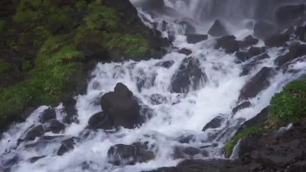 Beau Paysage Avec Une Rivière Montagne Rapide Qui Coule Entre — Video