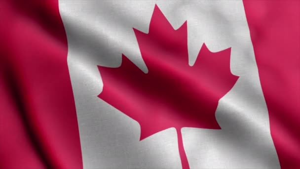Canada Blowing Flag Video Motion Loop Canada Flag Closeup Resolution — Stock Video