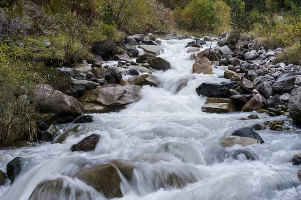 Ormandaki dağ şelalesi. Şelale manzaralı. Dağlarda şelale. Şelale.