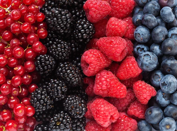 Berries — Stock Photo, Image