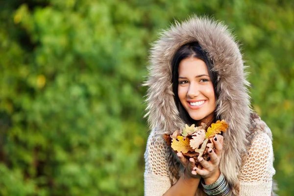 Belleza de otoño — Foto de Stock