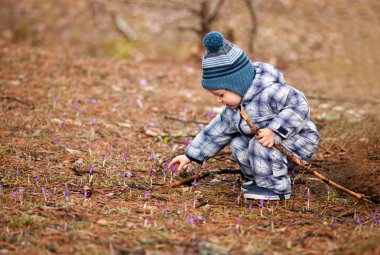 malzeme çekme ilk bahar çiçekleri