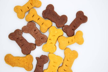 Snack, or cookies or prize to give the dog, to reward good behavior