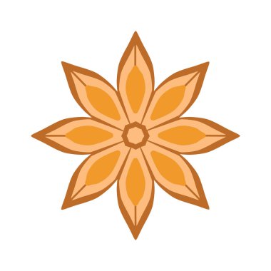 Renkli bir yıldız anason ikonu. Yıldız anasonu gerçektir. Hiç bitmeyen bir ağacın meyvesi. Baharatlar ve baharatlar. Tasarım ve web için beyaz bir arkaplanda izole edilmiş vektör illüstrasyonu.