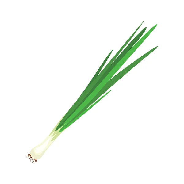 Green Onion Allium Salad Onions Wild Cherries Shallots Leeks Skoroda — Stock Vector