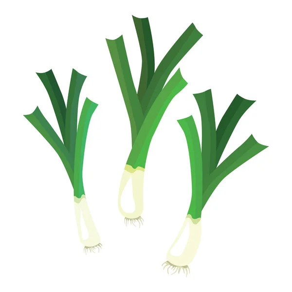 Set Leek Pearl Uma Planta Herbácea Subfamília Onion Uma Planta —  Vetores de Stock