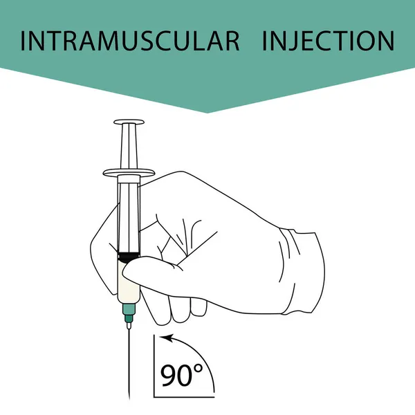 Injection Intramusculaire Méthodes Efficaces Administration Médicaments Autres Solutions Médicales Utilisées — Image vectorielle
