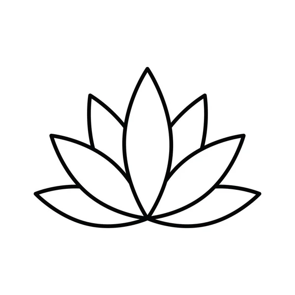 Icône Contour Lotus Plante Aquatique Sud Aux Grandes Fleurs Considérée — Image vectorielle