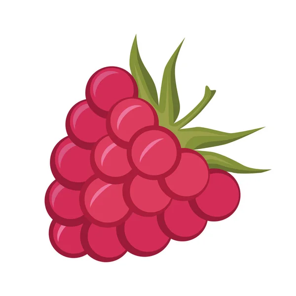 树莓图标 具有高维生素C含量的卡通片风格的美味健康的浆果 在设计和网页的白色背景上分离出病媒图解 — 图库矢量图片