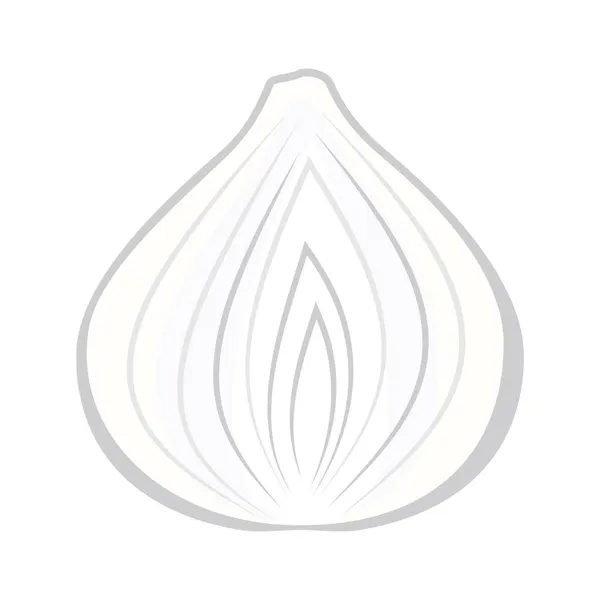 Puoli Valkoista Sipulia Herkullinen Terveellinen Kasvi Käytetään Elintarvikkeissa Juurikasvi Joka — vektorikuva