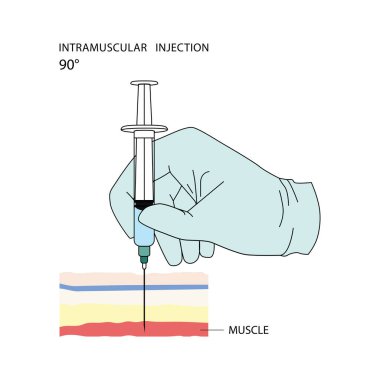 Kas içi enjeksiyon. İnsanlar ve hayvanlar için kullanılan ilaçların ve diğer tıbbi çözümlerin etkili yönetim yöntemleri. Tasarım ve web için beyaz arkaplanda izole edilmiş vektör illüstrasyonu.