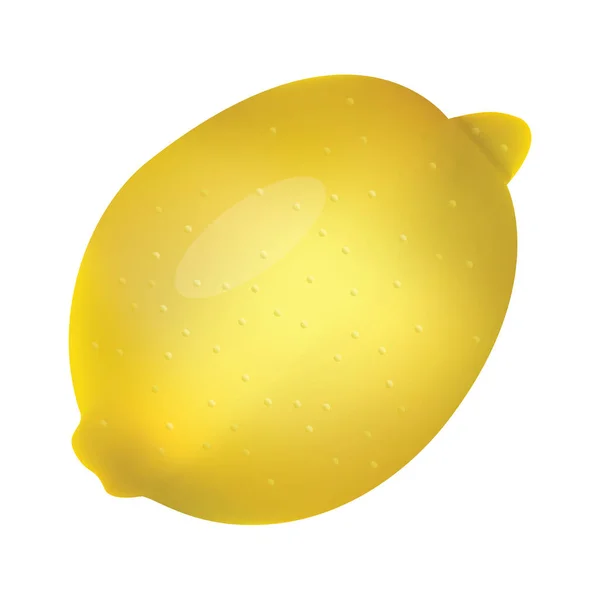 Лемон Сочные Вкусные Желтые Цитрусовые Векторная Иллюстрация Изолирована Белом Фоне — стоковый вектор