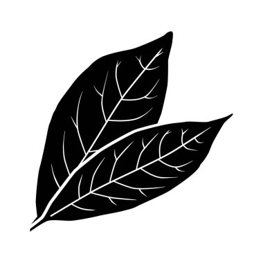 Yaprak simgesi. Asil defne yaprakları, baharat olarak kullanılır. Lezzetli ve sağlıklı yiyecekler. Tasarım ve web için beyaz bir arkaplanda izole edilmiş vektör illüstrasyonu.
