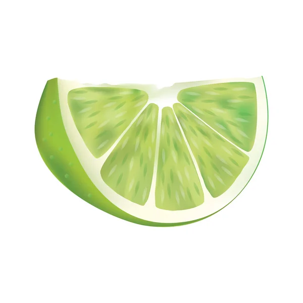 조각이야 Citrus 식물로 식용으로 과일입니다 설계와 백색광에서 이미지 — 스톡 벡터