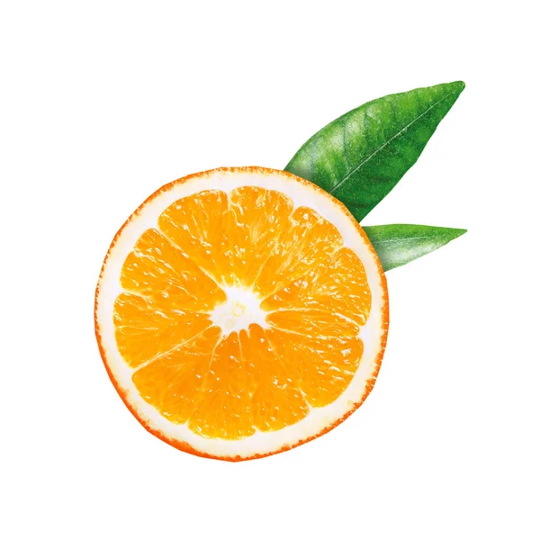 Orange Two Green Leaves Orange Tropical Citrus Fruit Cut Half — 스톡 사진