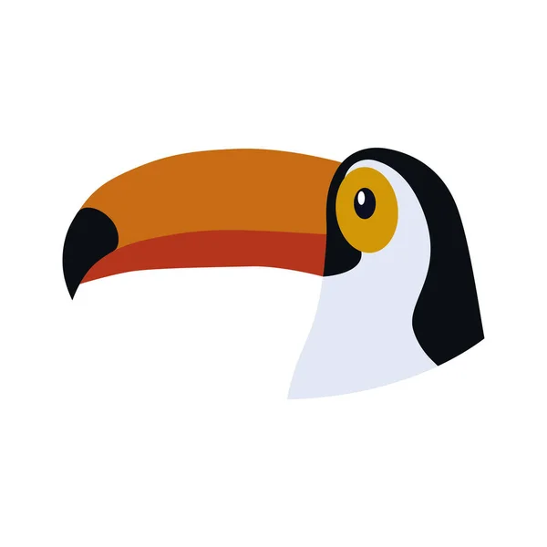 Huvudet Tukanfågel Tropisk Fågel Fågelfamilj Ordningen Hackspettar Vektor Illustration Isolerad — Stock vektor