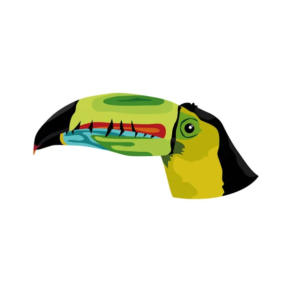 Głowa Tukańskiego Ptaka Tropikalny Ptak Rodzina Ptaków Kolejność Dzięciołów Ilustracja — Wektor stockowy