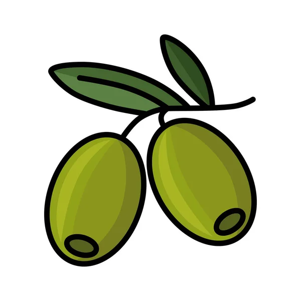 올리브 아이콘 나무는 상록수의 열매입니다 설계와 배경에서 — 스톡 벡터