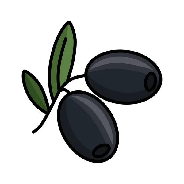 黑橄榄彩色图标 橄榄是常青树的果实 在白色背景上孤立的矢量图形 用于设计和网络 — 图库矢量图片