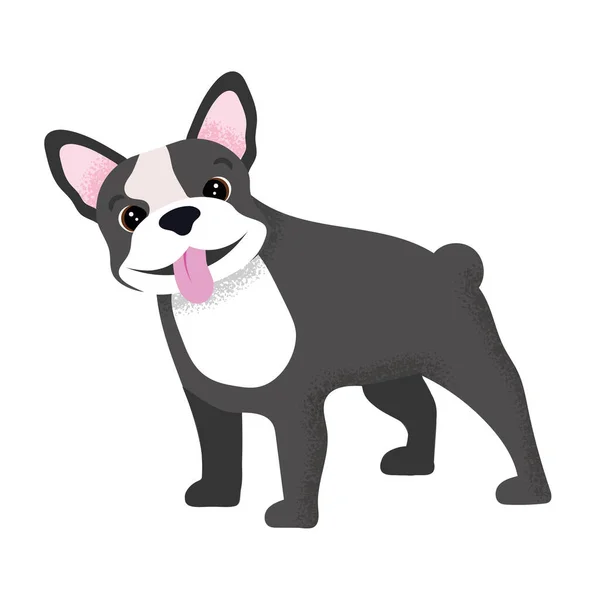 Vektör içinde renkli Fransız Bulldog illüstrasyonu.