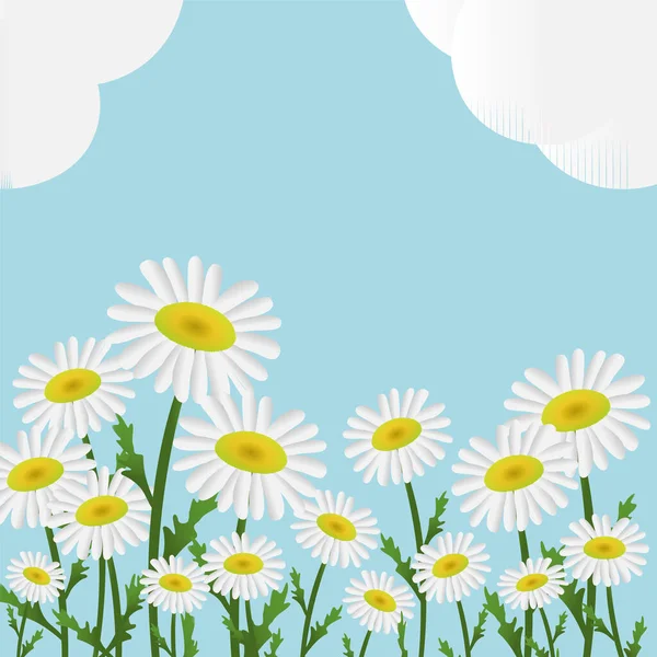 daisies field landscape. green Summer scene with white flowers, blue sky, fluffy clouds