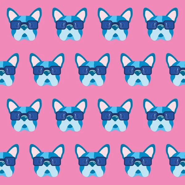 Gözlüklü, kusursuz desenli Fransız bulldog.