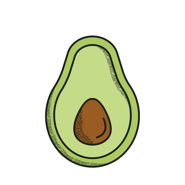 dilim vektör avokado retro biçimi