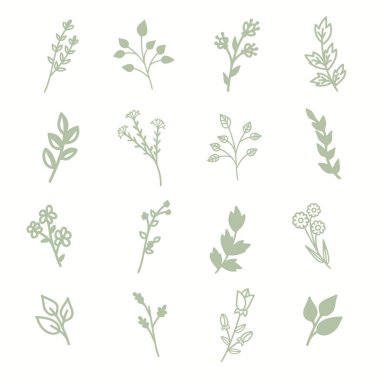 Yaban çiçekleri ve çiçek koleksiyonu çizim çizgisi çiziyor. İzole edilmiş basit yeşil bitkiler ve beyaz arkaplanda ana hatlar biçiminde yapraklar