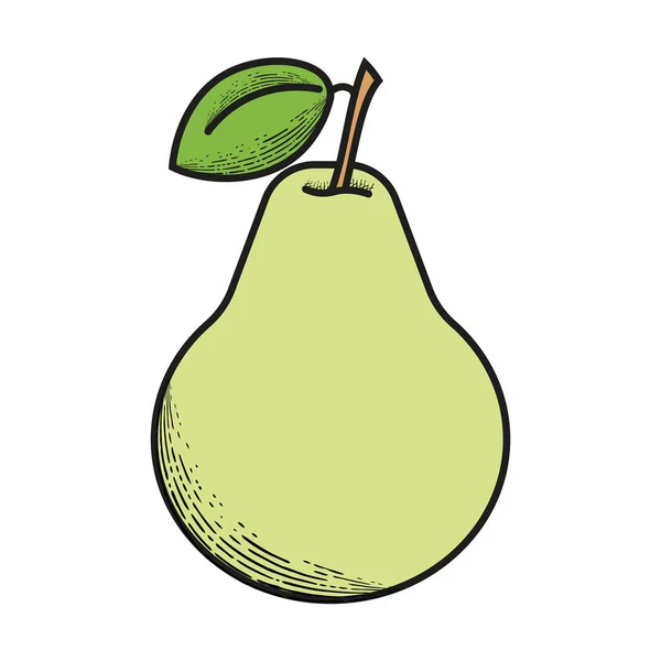 Yeşil armut vektörü izole edildi